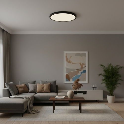 10454/500 Black  Потолочный светильник  LOFT IT Sweety фото 2