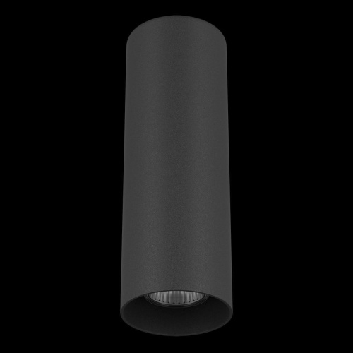 Потолочный светильник Lightstar Rullo 216497 фото 2