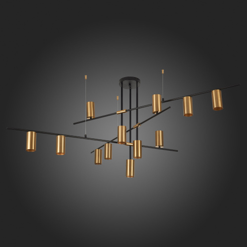 SL1206.402.12 Светильник потолочный ST-Luce Черный/Латунь GU10 12*7W SORMANO фото 6