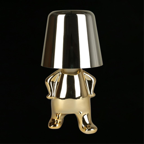 Настольная лампа APL.672.04.01 фото 9