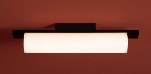 Потолочный светильник Freya Modern Even FR5625CL-L20B фото 6