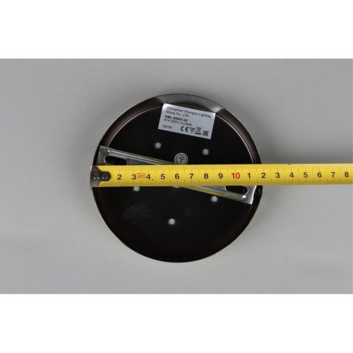 Люстра потолочная OML-65007-05 фото 4