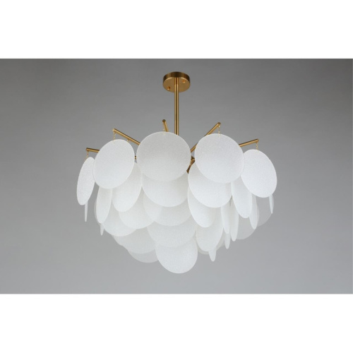 Люстра потолочная OML-67407-06 фото 5