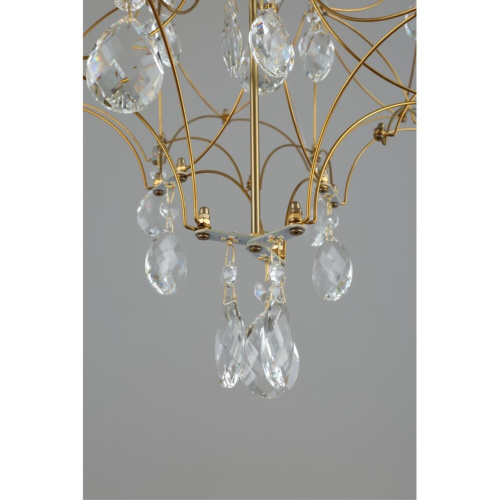 Люстра подвесная OML-95713-60 фото 10