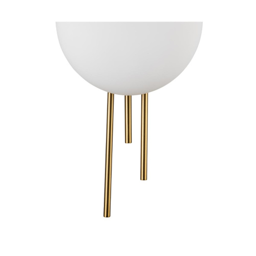 Настенный светодиодный светильник Indigo ASTRO 14007/1W Brass V000044L фото 3
