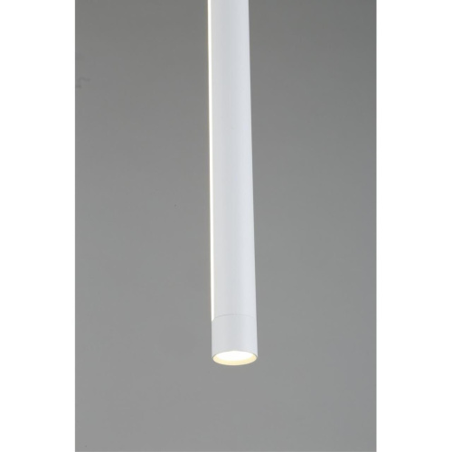 Светильник подвесной OML-102006-17 фото 5