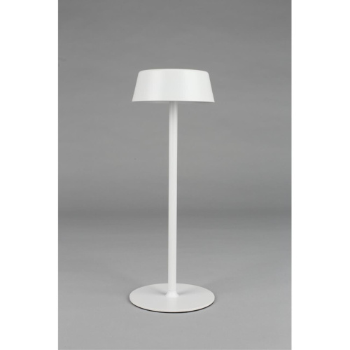 Настольная лампа OML-40514-01 фото 10