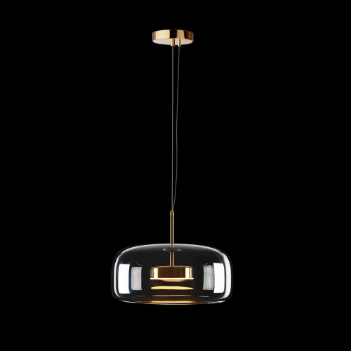 10041B Подвесной светильник LOFT IT Dauphin фото 4