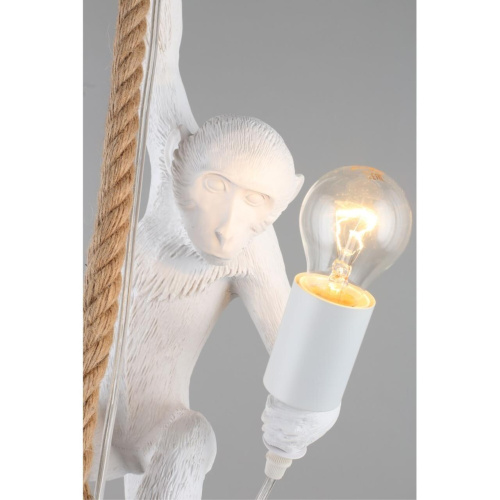 Светильник подвесной APL.309.06.01 фото 8