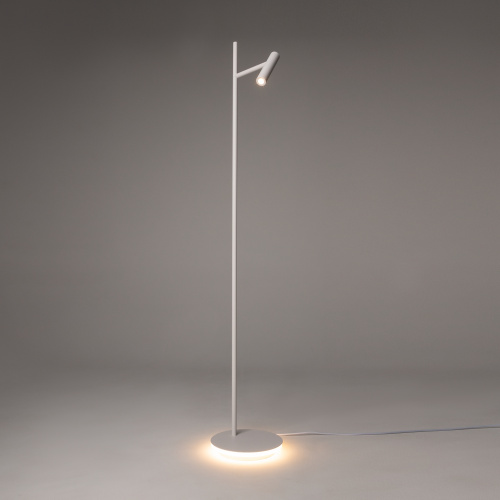Напольный светильник (торшер) Maytoni Z010FL-L8W3K фото 7
