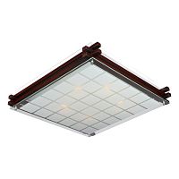 Светильник настенно-потолочный OML-40507-05