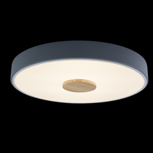 10003/24 Grey Потолочный светильник LOFT IT Axel фото 2