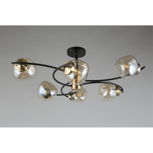 Люстра потолочная OML-95307-06 фото 14