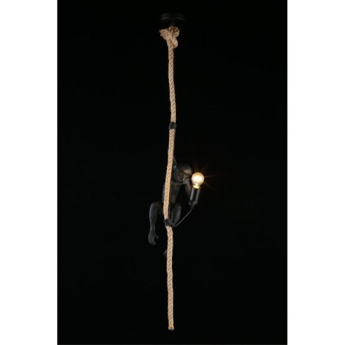 Светильник подвесной APL.309.16.01 фото 9