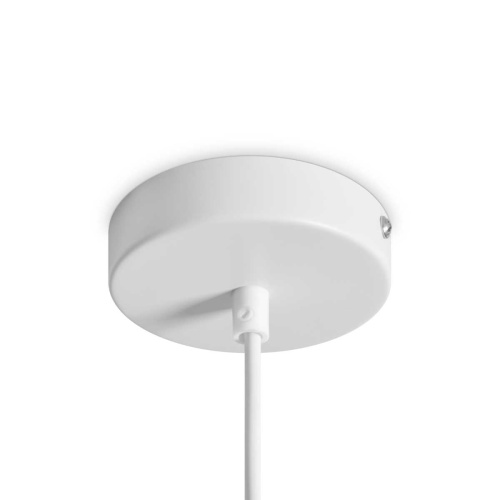 Подвесной светильник Freya Modern FR5530PL-L10W фото 8