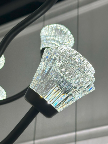 Люстра P0550-12A black фото 3 Люстра P0550-12A black фото 3