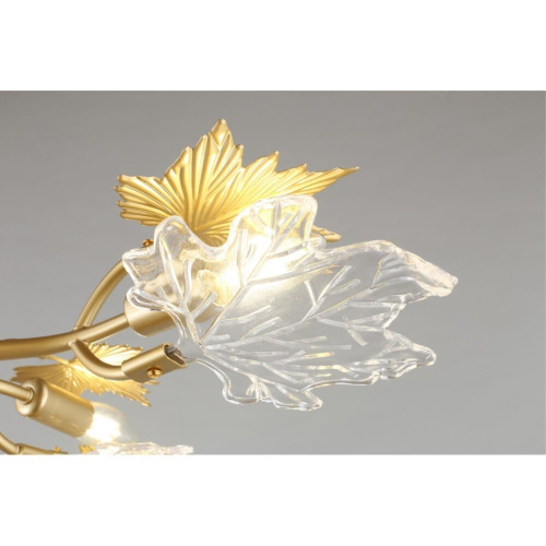 Люстра потолочная OML-52707-09 фото 11