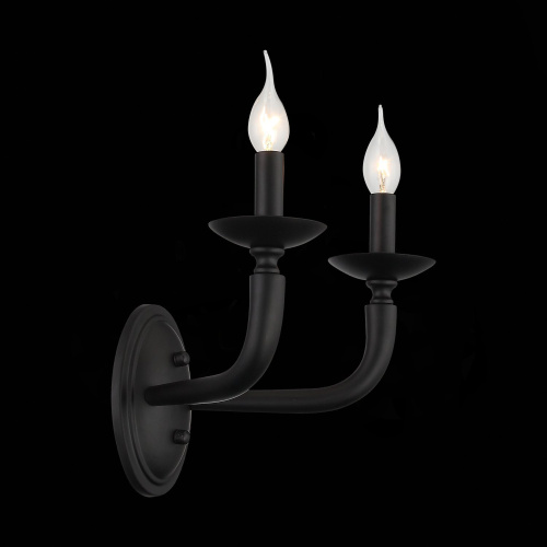 SL1114.401.02 Бра ST-Luce Черный E14 2*40W FORTEZA фото 8