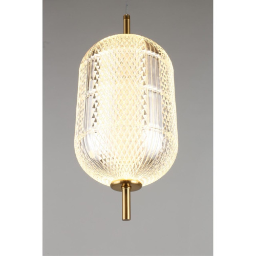 Светильник подвесной OML-68806-01 фото 6