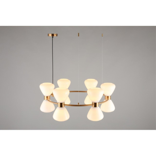 Люстра подвесная OML-59603-12 фото 5