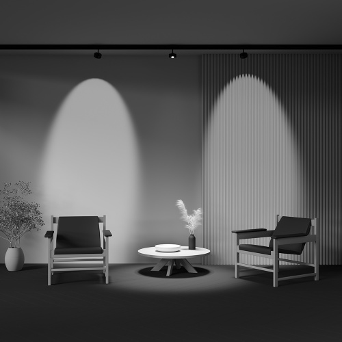 Трековый светильник Technical TR217-2-15W4K-B фото 7