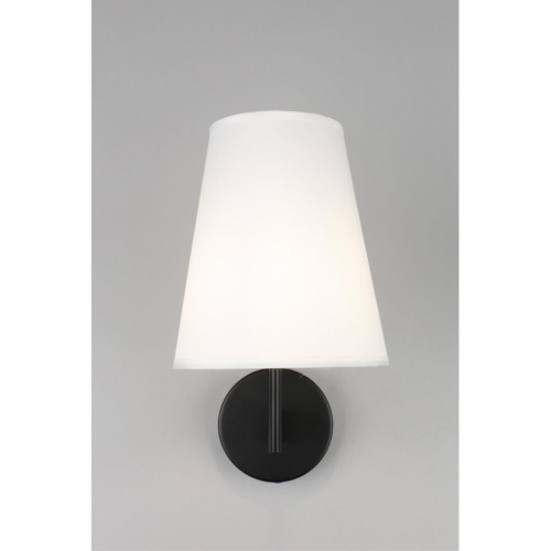 Светильник настенный (Бра) OML-68611-01 фото 7