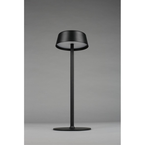 Настольная лампа OML-40504-01 фото 5 Настольная лампа OML-40504-01 фото 5