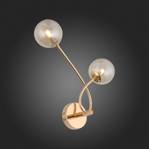 SL435.201.02 Бра ST-Luce Золотистый/Коньячный G9 2*3W PARLLAONE фото 3