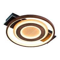 Потолочный светодиодный светильник F-Promo Labrea 4699-1C