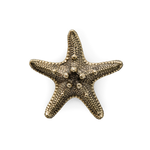 Ручка-кнопка Linckia Polished Brass