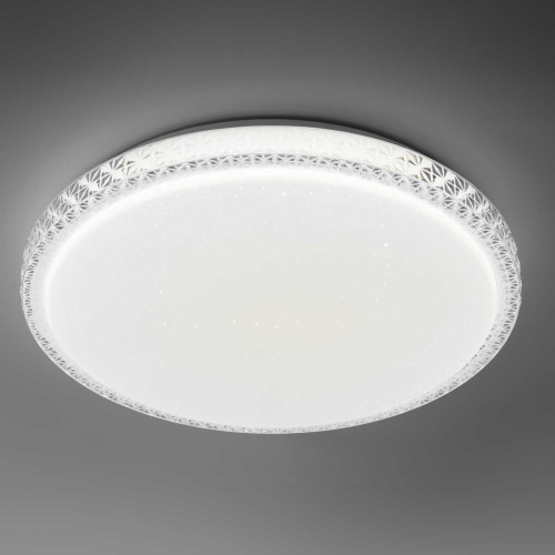 Светильник потолочный светодиодный Rivoli Mystery 6178-201 без пульта 48 Вт 5000K LED Б0069793 фото 10