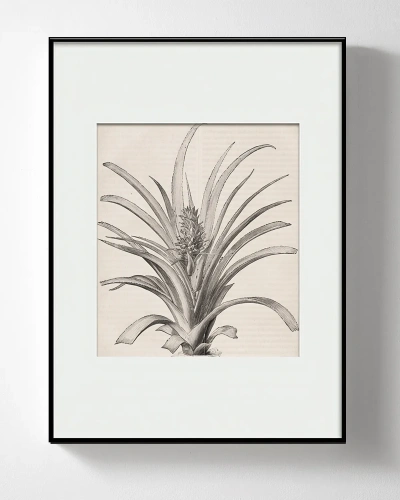 Интерьерный постер “Pineapple”