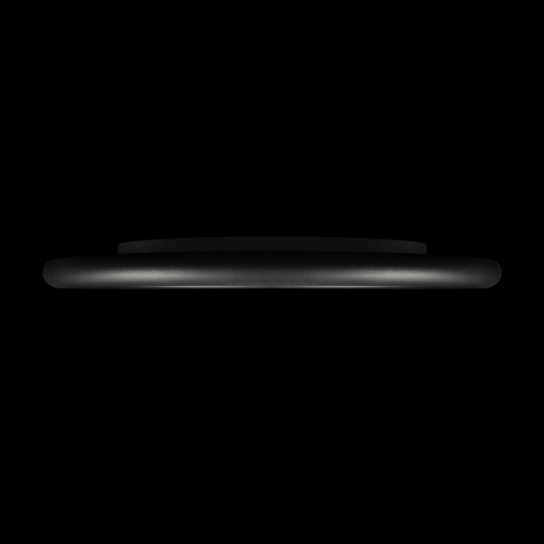 10454/500 Black  Потолочный светильник  LOFT IT Sweety фото 4