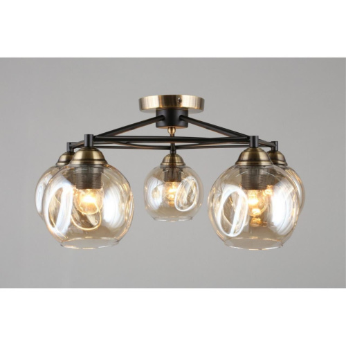 Люстра потолочная OML-93507-05 фото 4