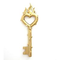 Аксессуар Passion Key