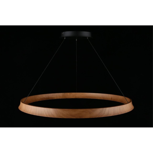 Люстра подвесная APL.787.03.75 фото 11