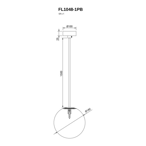 Подвесной светильник Unity FL1048-1PB фото 2