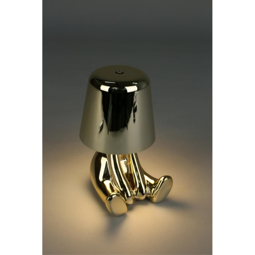 Настольная лампа APL.676.04.01 фото 10