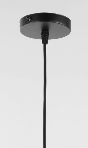 Подвесной светильник Lampit TP 2022-1 BK фото 4 Подвесной светильник Lampit TP 2022-1 BK фото 4
