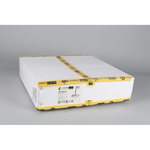 Люстра подвесная OML-69603-10 фото 2