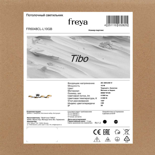 Потолочный светильник Freya Тибо / Tibo FR6048CL-L10GB фото 8