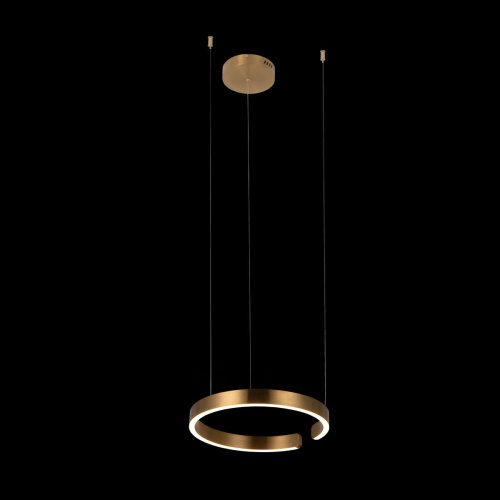 10013S Подвесной светильник LOFT IT Ring фото 3 10013S Подвесной светильник LOFT IT Ring фото 3