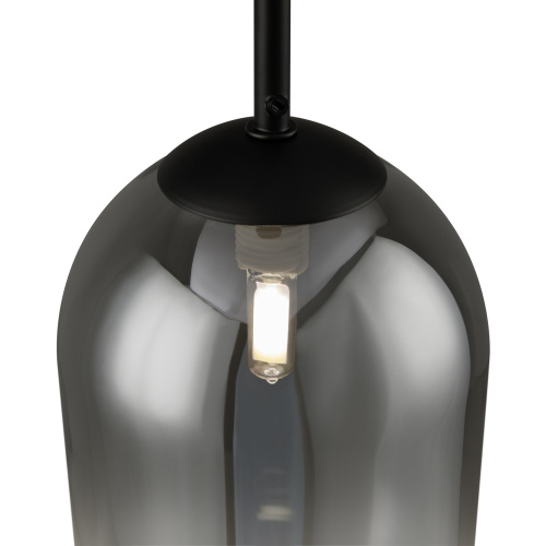 Подвесной светильник Freya FR1011PL-01B2 фото 2