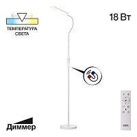 Торшер Citilux CL804050