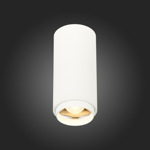 ST600.532.10 Светильник потолочный Zoom Белый LED 1*10W 3000K 1 000Lm Ra>80 15-60° IP20 D59xH130 170 Накладные светильники фото 6