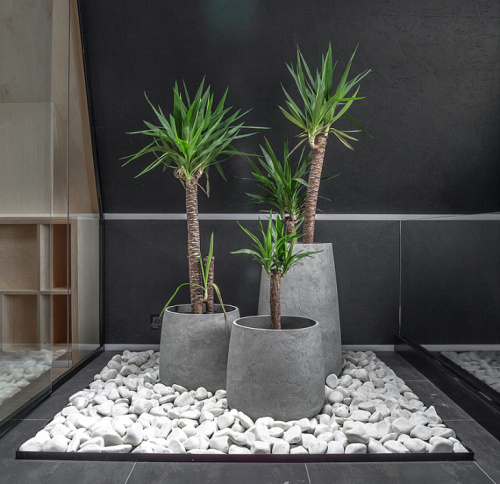 Кашпо CONE NERO фото 2