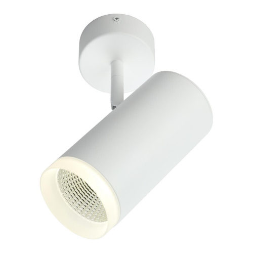 Светильник настенно-потолочный OML-102609-20