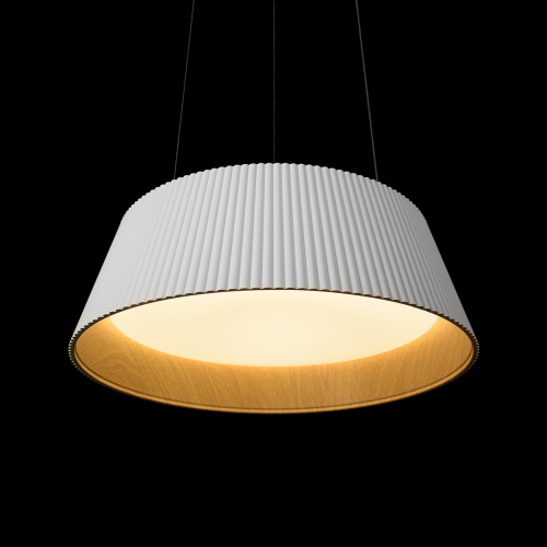 10224P White Подвесной светильник LOFT IT Evans фото 7