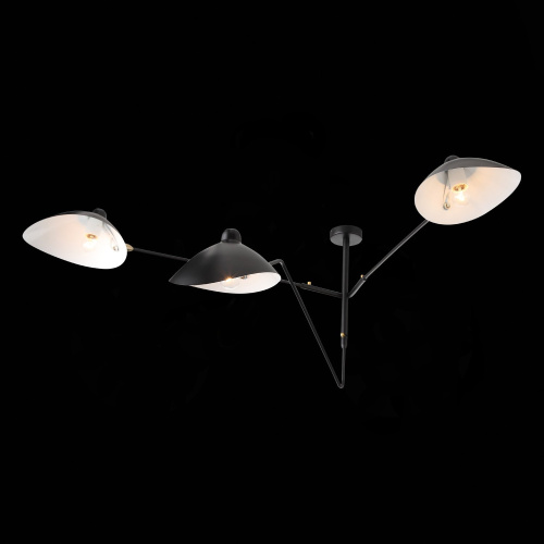 SL305.402.03 Люстра потолочная ST-Luce Черный/Черный, Белый E27 3*60W SPRUZZO фото 9