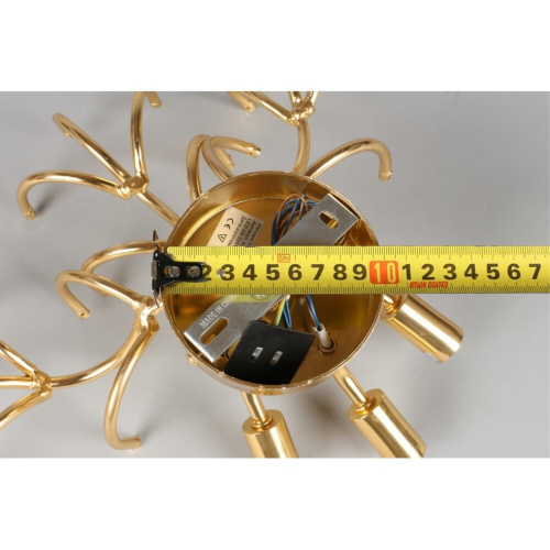 Светильник настенный (Бра) APL.850.01.03 фото 9